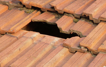roof repair Pennant