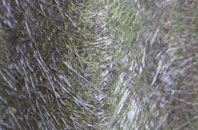 Pennant fibreglass roof work