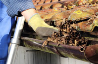 Pennant gutter cleaners